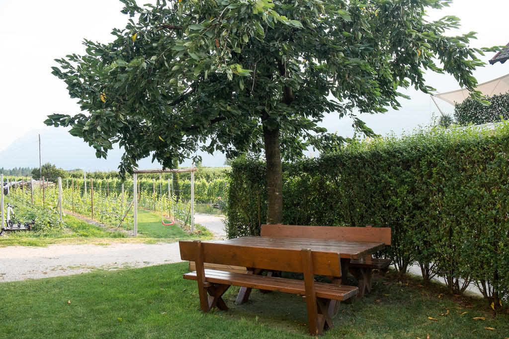 Ferienwohnung Pippohof Appiano Sulla Strada Del Vino Habitación foto